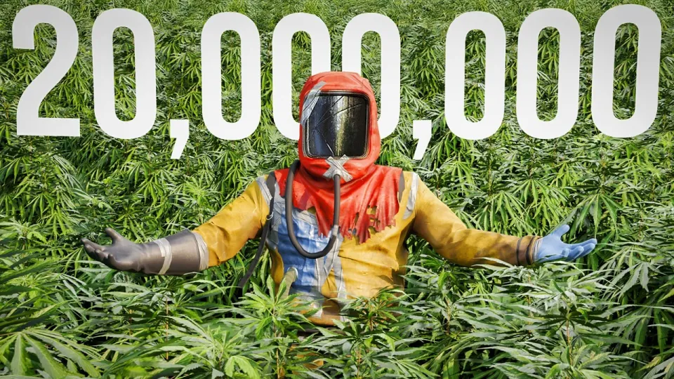 7 Facts About JTeles' Record 20 Million Cloth Farm in Rust